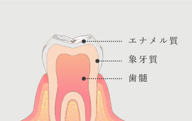エナメル質・象牙質・歯髄